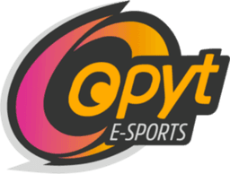 Opyt e-Sports