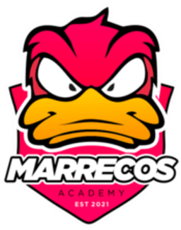 Marrecos Academy